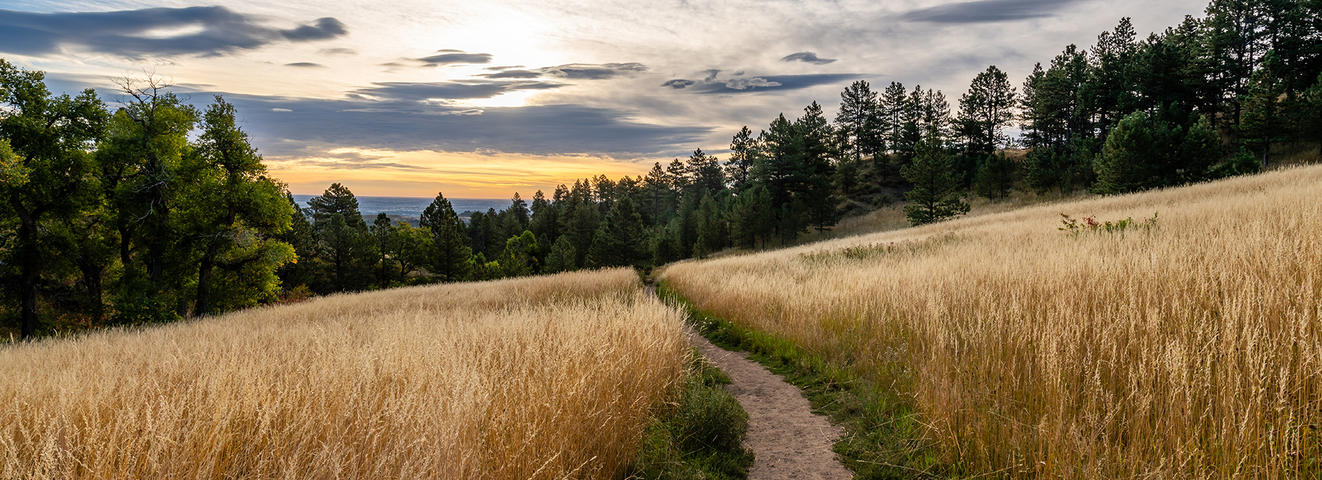 Technology and Business Grow Together