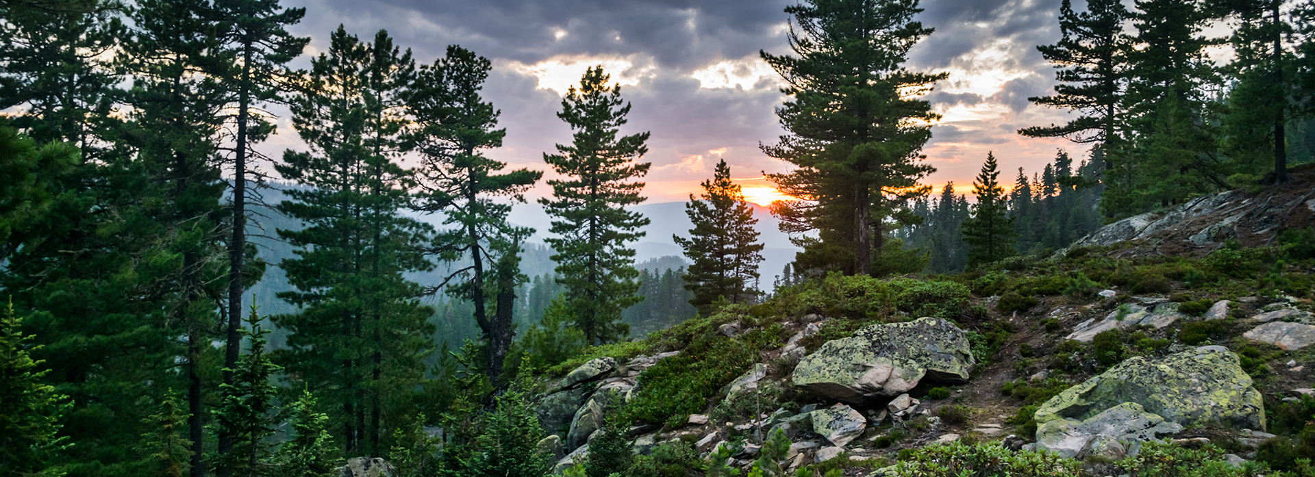 Your business doesn’t slow down, so why should your network?